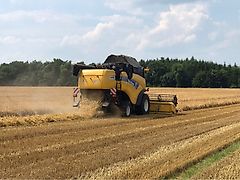 Vidéo : Essai de la moissonneuse-batteuse New Holland CX8.80